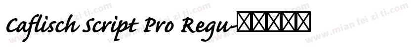 Caflisch Script Pro Regu字体转换